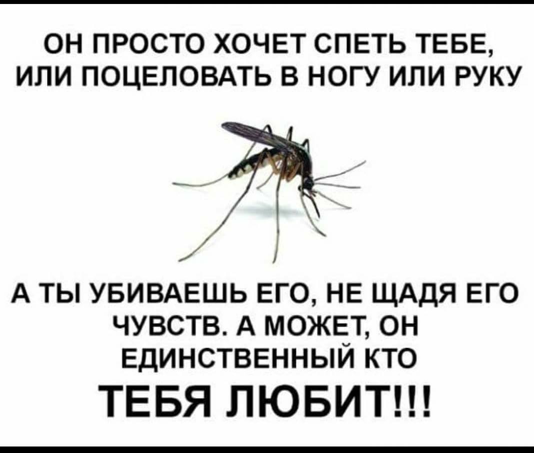 Комар